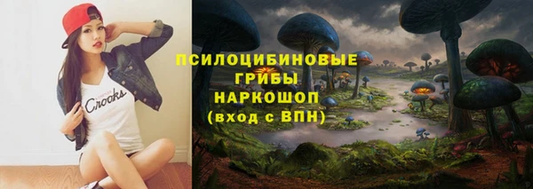 ГАЛЛЮЦИНОГЕННЫЕ ГРИБЫ Нягань