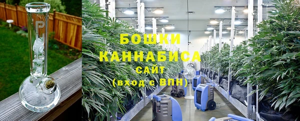 хмурый Няндома