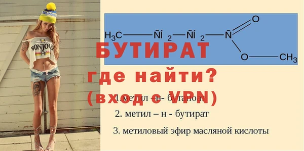 хмурый Няндома