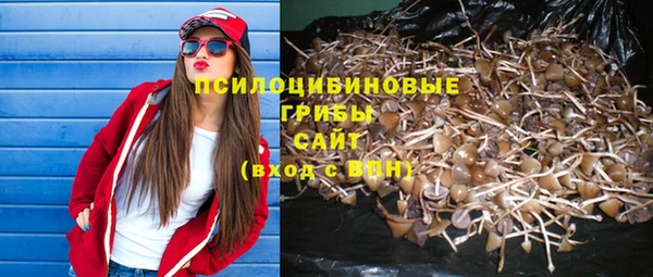 хмурый Няндома
