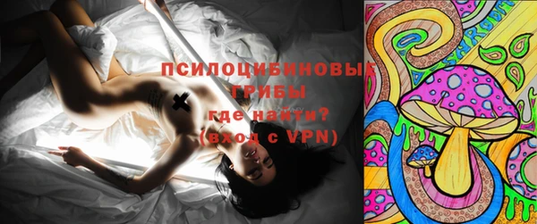 хмурый Няндома