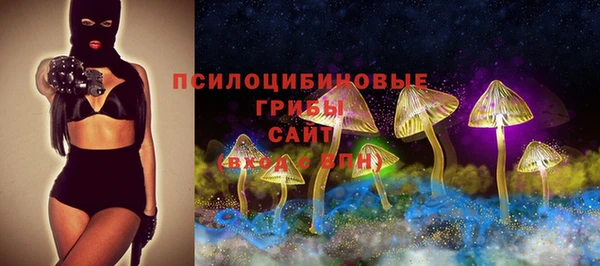 ГАЛЛЮЦИНОГЕННЫЕ ГРИБЫ Нягань