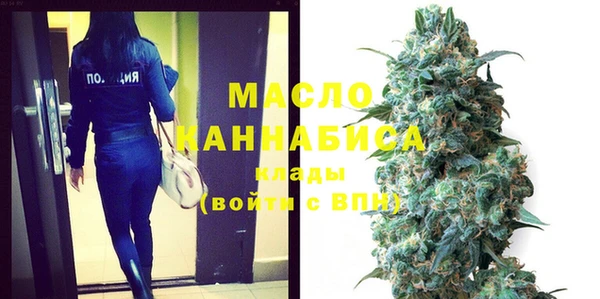 хмурый Няндома