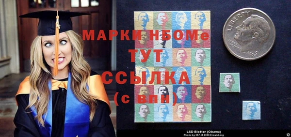 хмурый Няндома