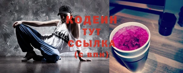 хмурый Няндома