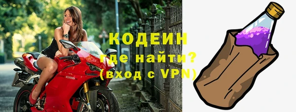 хмурый Няндома